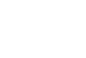 All Access Motors